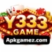 Y333 Game