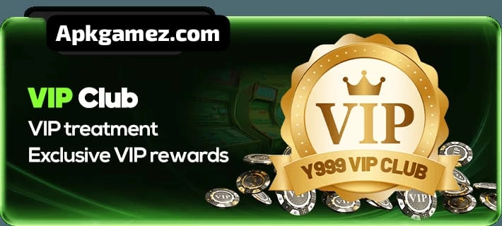 Y333 Game
