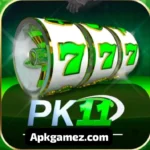 Pk11 Game