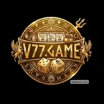 v77 game