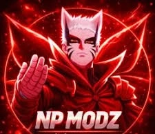 NP Modz