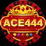 ACE444 Game